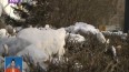 14-18жཱུѩ
