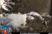 14-18жཱུѩ